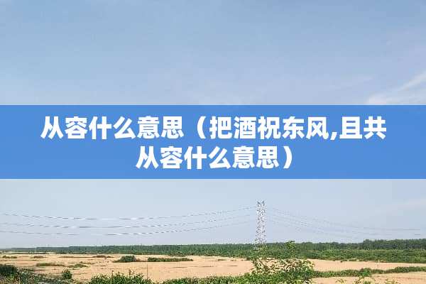 从容什么意思（把酒祝东风,且共从容什么意思）