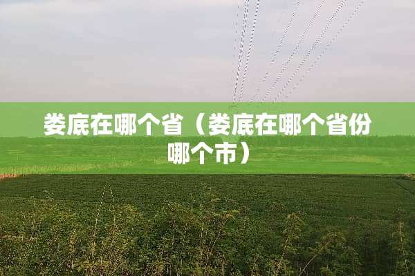 娄底在哪个省（娄底在哪个省份哪个市）