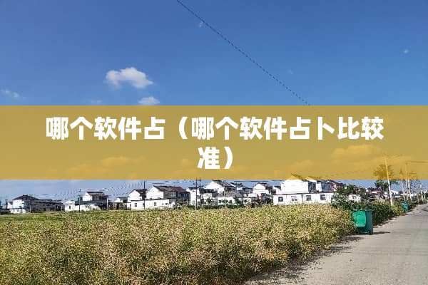 哪个软件占（哪个软件占卜比较准）