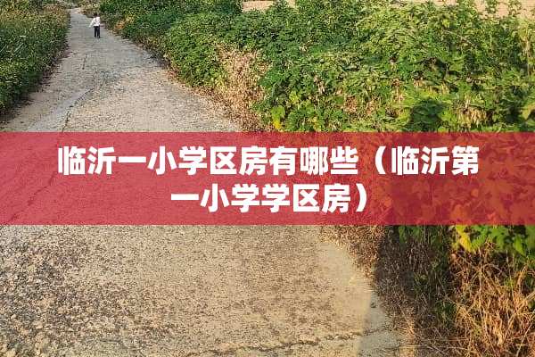 临沂一小学区房有哪些（临沂第一小学学区房）