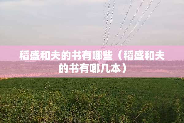 稻盛和夫的书有哪些（稻盛和夫的书有哪几本）