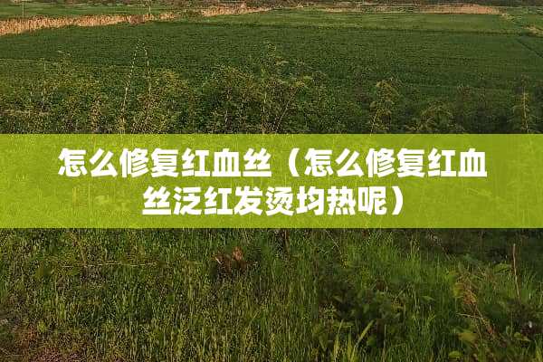 怎么修复***（怎么修复***泛红发烫均热呢）