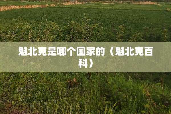 魁北克是哪个国家的（魁北克百科）