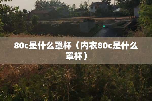 80c是什么**（**80c是什么**）
