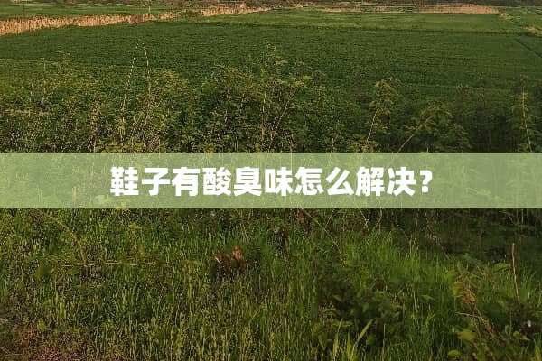 鞋子有酸臭味怎么解决？