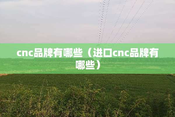 cnc品牌有哪些（进口cnc品牌有哪些）