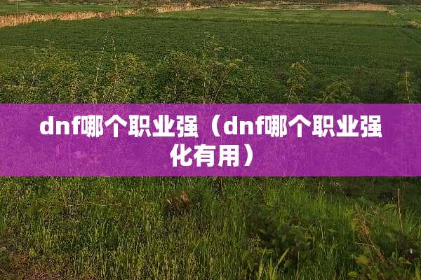dnf哪个职业强（dnf哪个职业强化有用）