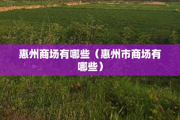 惠州商场有哪些（惠州市商场有哪些）