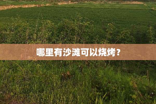 哪里有沙滩可以烧烤？