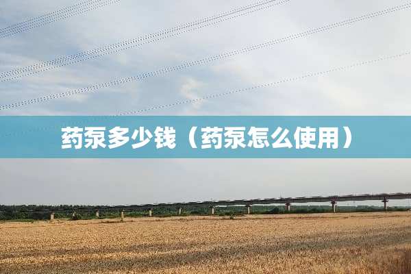 药泵多少钱（药泵怎么使用）
