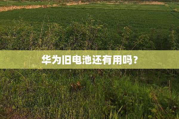 华为旧电池还有用吗？
