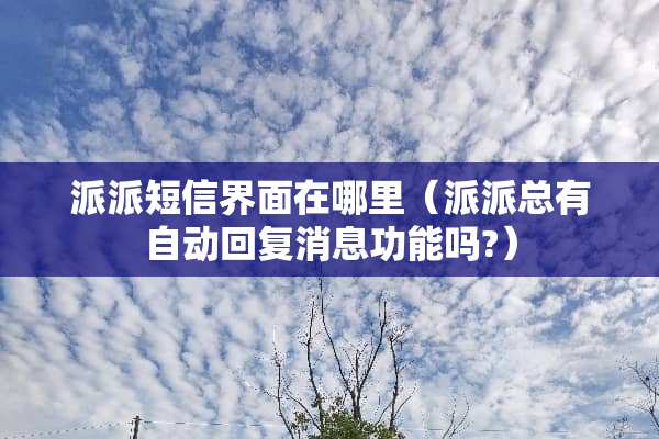 派派短信界面在哪里（派派总有自动回复消息功能吗?）