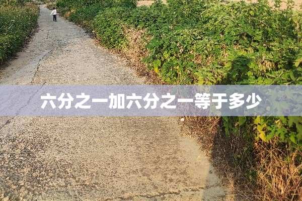 六分之一加六分之一等于多少