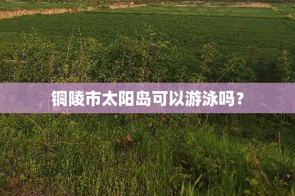 铜陵市太阳岛可以游泳吗？