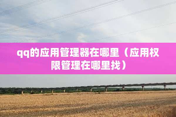 qq的应用管理器在哪里（应用权限管理在***）