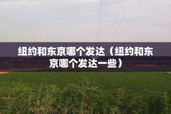 纽约和东京哪个发达（纽约和东京哪个发达一些）