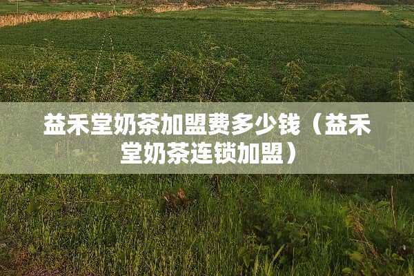 益禾堂奶茶加盟费多少钱（益禾堂奶茶连锁加盟）