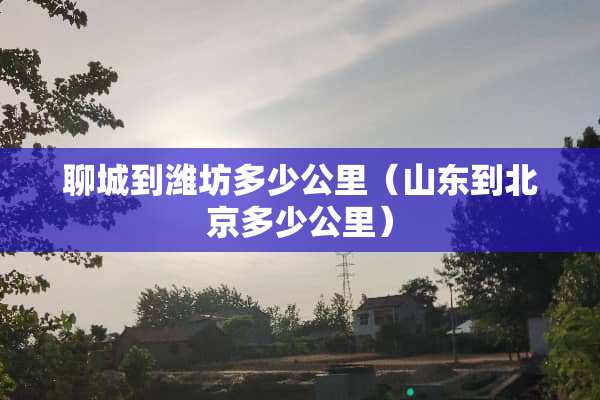 聊城到潍坊多少公里（山东到北京多少公里）