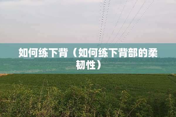 如何练下背（如何练下背部的柔韧性）