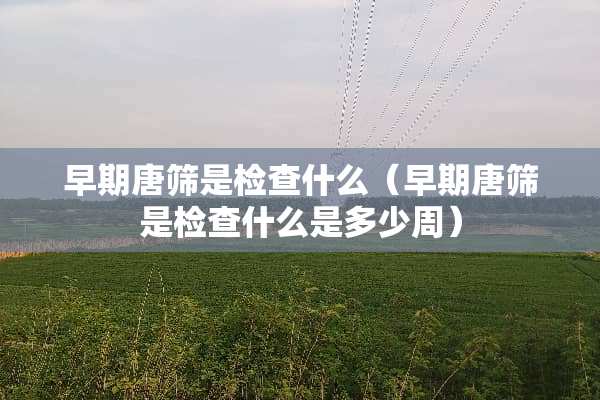 早期唐筛是检查什么（早期唐筛是检查什么是多少周）