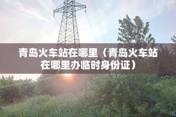 青岛火车站在哪里（青岛火车站在哪里办临时身份证）