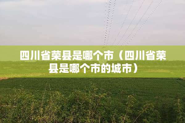 四川省荣县是哪个市（四川省荣县是哪个市的城市）