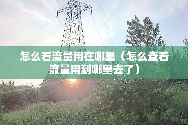 怎么看流量用在哪里（怎么查看流量用到哪里去了）