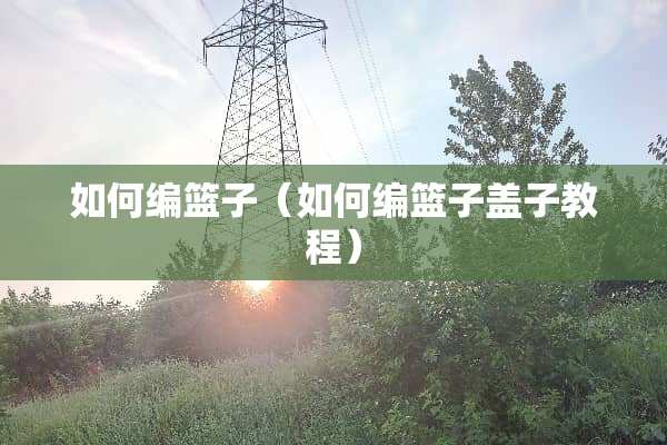 如何编篮子（如何编篮子盖子教程）