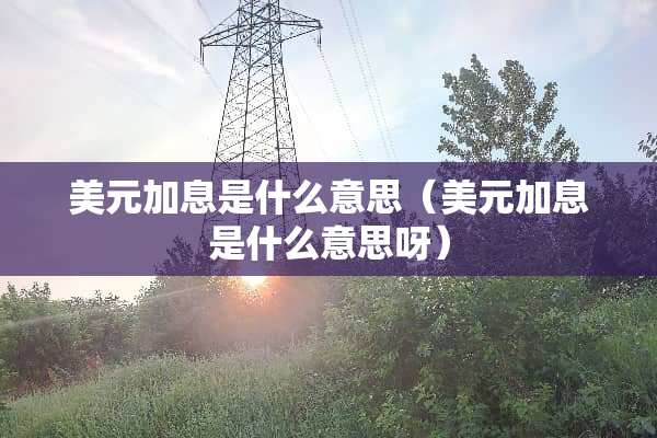 美元加息是什么意思（美元加息是什么意思呀）