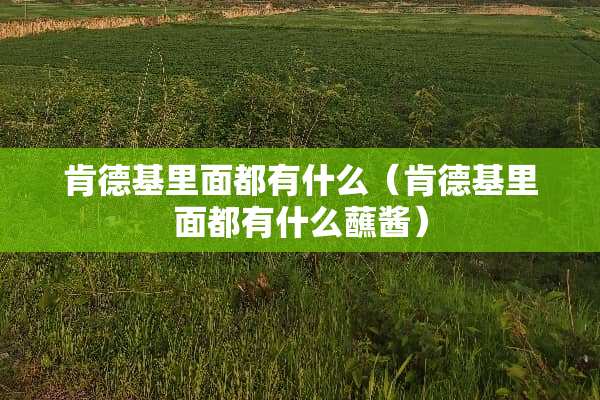 肯德基里面都有什么（肯德基里面都有什么蘸酱）