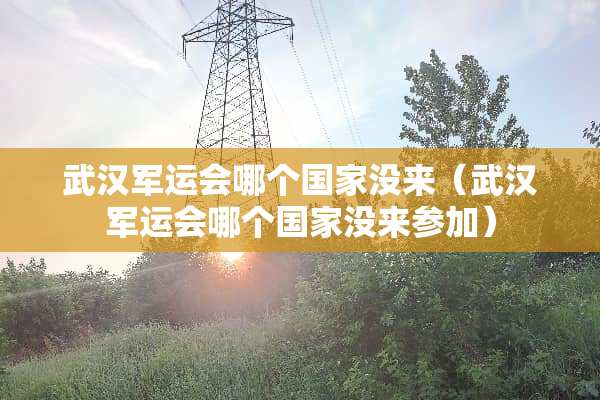 武汉军运会哪个国家没来（武汉军运会哪个国家没来参加）