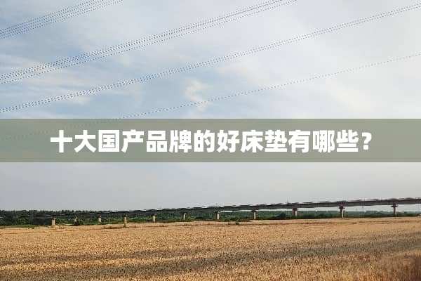 十大国产品牌的好床垫有哪些？