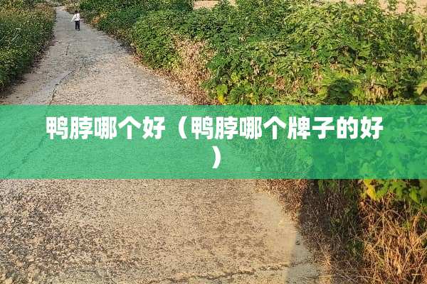 鸭脖哪个好（鸭脖哪个牌子的好）