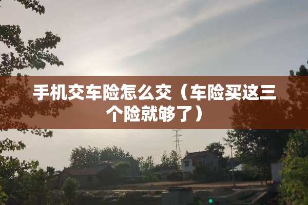 手机交车险怎么交（车险买这三个险就够了）