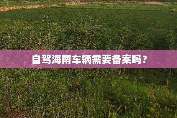 自驾海南车辆需要备案吗？