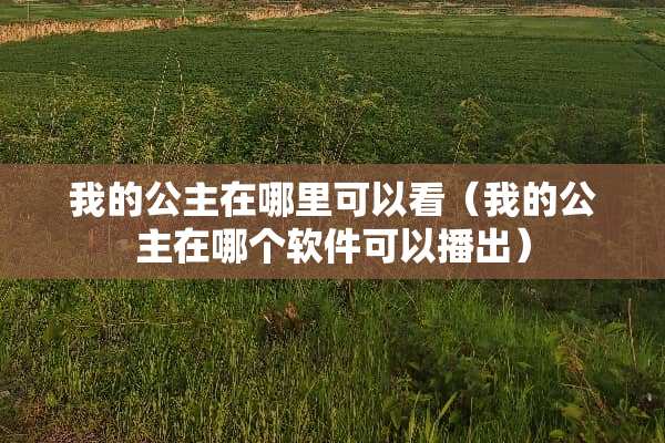 我的公主在哪里可以看（我的公主在哪个软件可以播出）