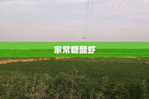 家常糖醋虾