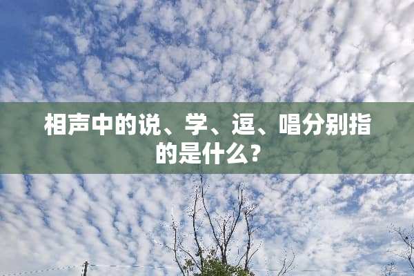 相声中的说、学、逗、唱分别指的是什么？