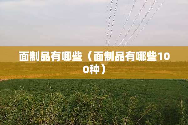 面制品有哪些（面制品有哪些100种）