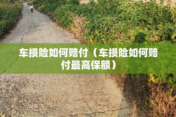 车损险如何赔付（车损险如何赔付最高保额）