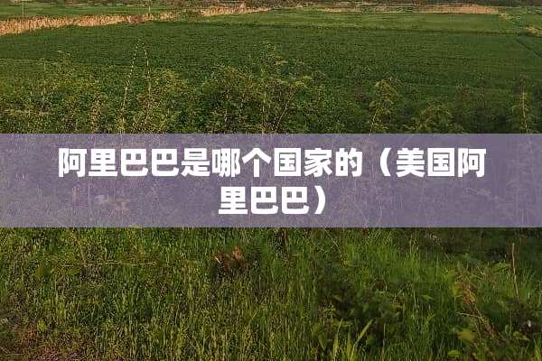 阿里巴巴是哪个国家的（美国阿里巴巴）
