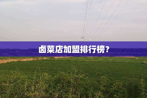 卤菜店加盟排行榜？