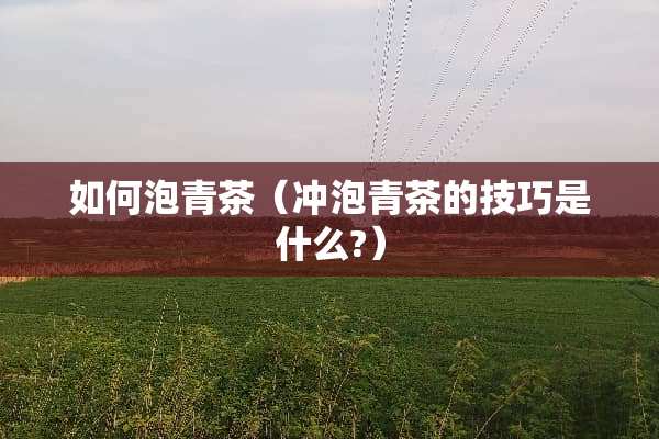 如何泡青茶（冲泡青茶的技巧是什么?）