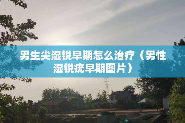 男生尖湿锐早期怎么治疗（男性湿锐疣早期图片）
