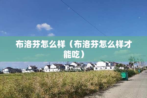 布洛芬怎么样（布洛芬怎么样才能吃）