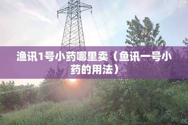 渔讯1号小药哪里卖（鱼讯一号小药的用法）