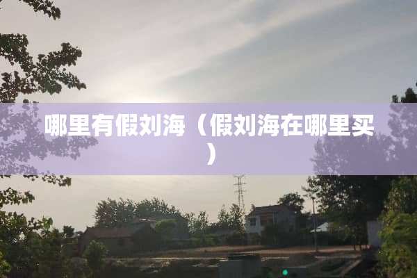 哪里有假刘海（假刘海在哪里买）