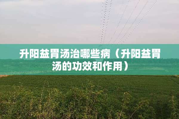 升阳益胃汤治哪些病（升阳益胃汤的功效和作用）
