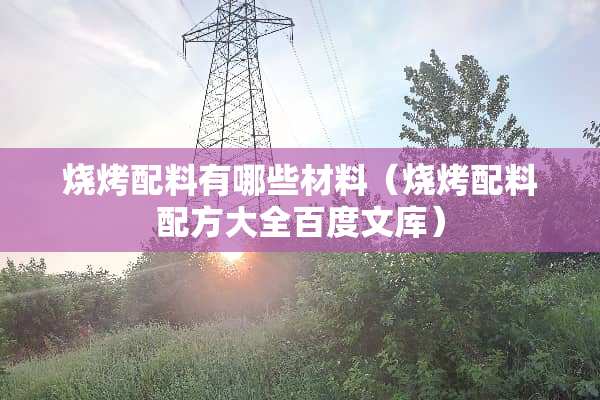 烧烤配料有哪些材料（烧烤配料配方大全百度文库）