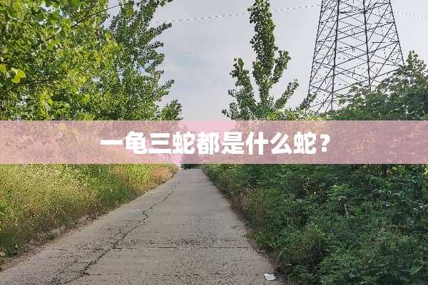 一龟三蛇都是什么蛇？
